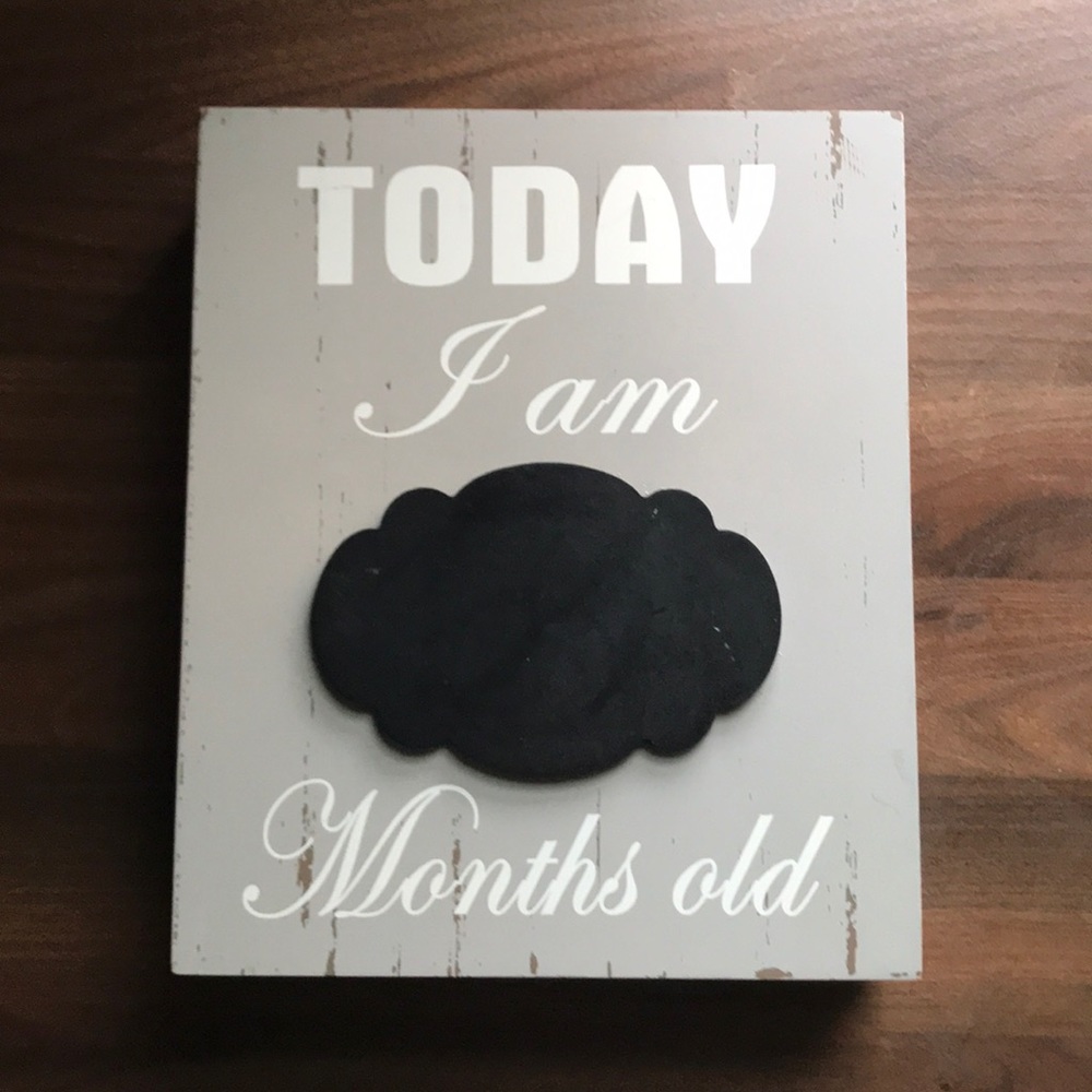 Baby Milestone Photo Prop